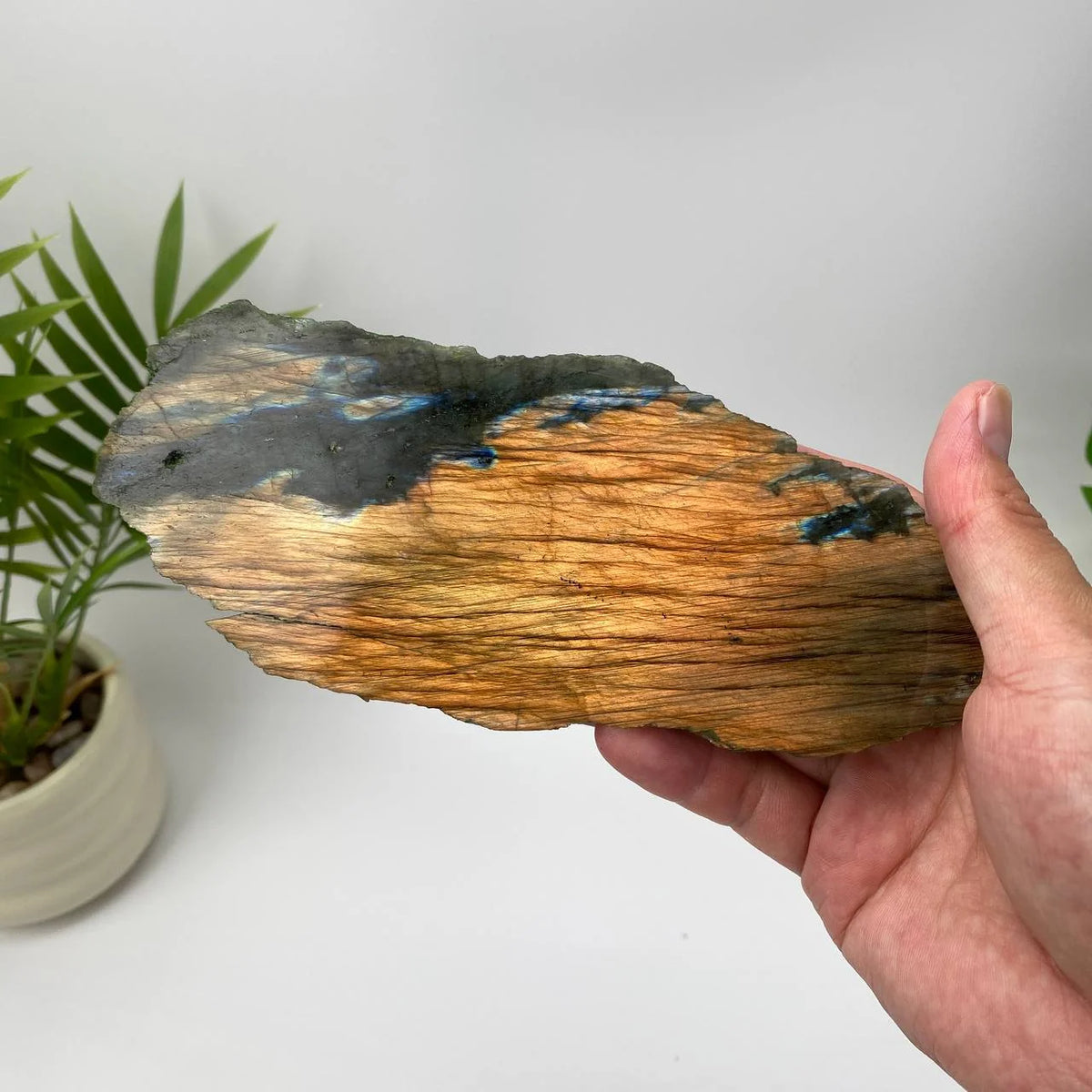 Natural Labradorite Slice – Copper Bronze and Blue Flash Rough Slice with Stand