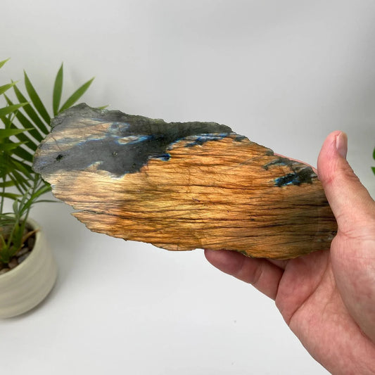 Natural Labradorite Slice – Copper Bronze and Blue Flash Rough Slice with Stand