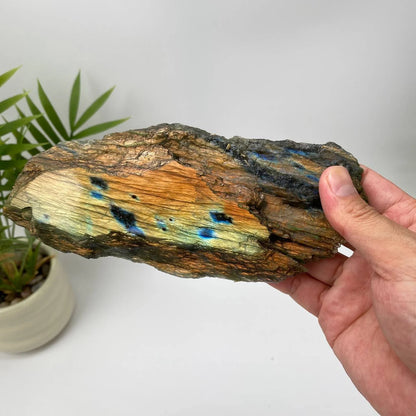 Natural Labradorite Slice – Copper Bronze and Blue Flash Rough Slice with Stand