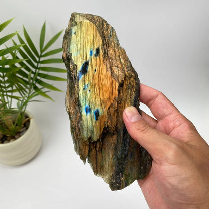 Natural Labradorite Slice – Copper Bronze and Blue Flash Rough Slice with Stand