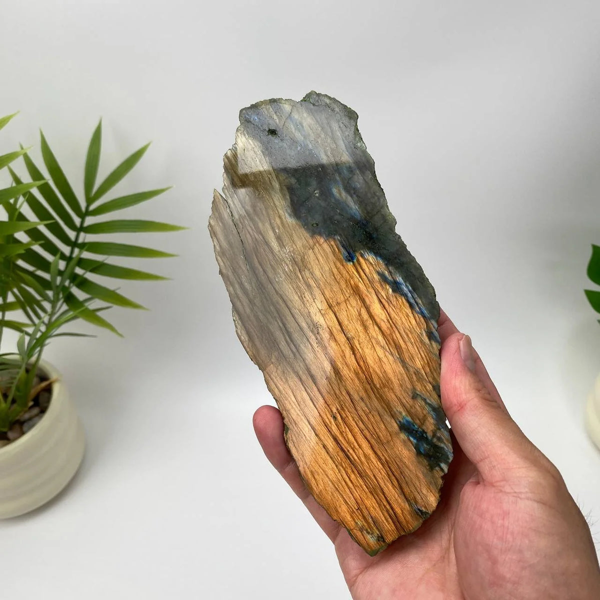 Natural Labradorite Slice – Copper Bronze and Blue Flash Rough Slice with Stand
