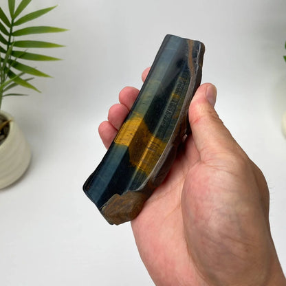 Natural Yellow-Blue Tiger Eye Slice – Black and Gold Striped Slice with Stand