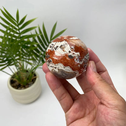 Natural Money Agate Sphere