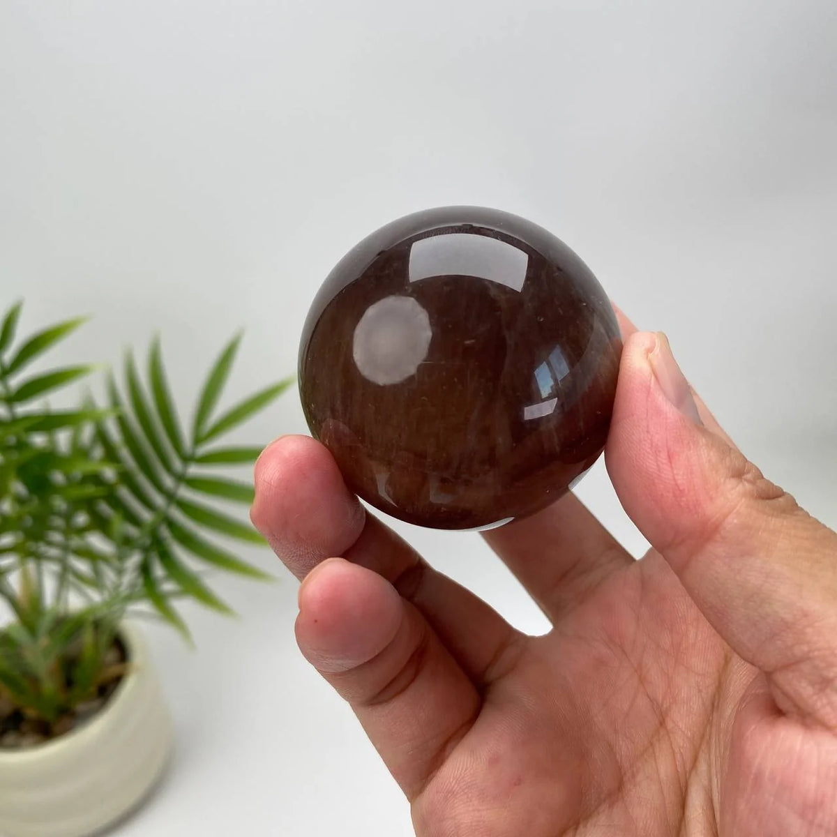Natural Chocolate Silk Fluorite Sphere