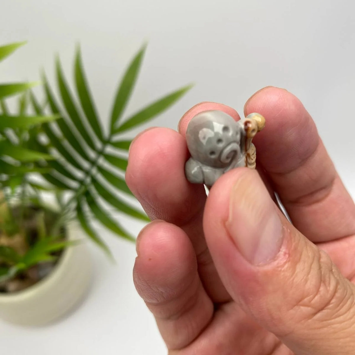 Natural Alashan Agate Snail Carving