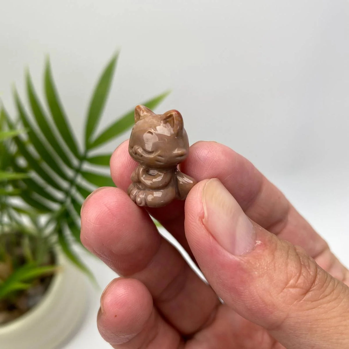 Natural Alashan Agate Seated Cat Carving