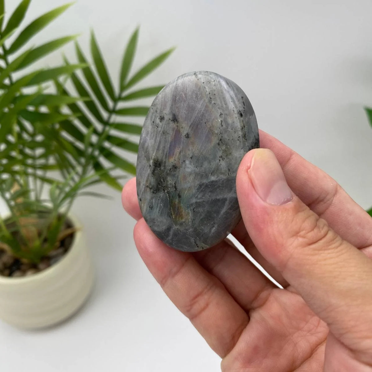Natural Labradorite Palm Stone
