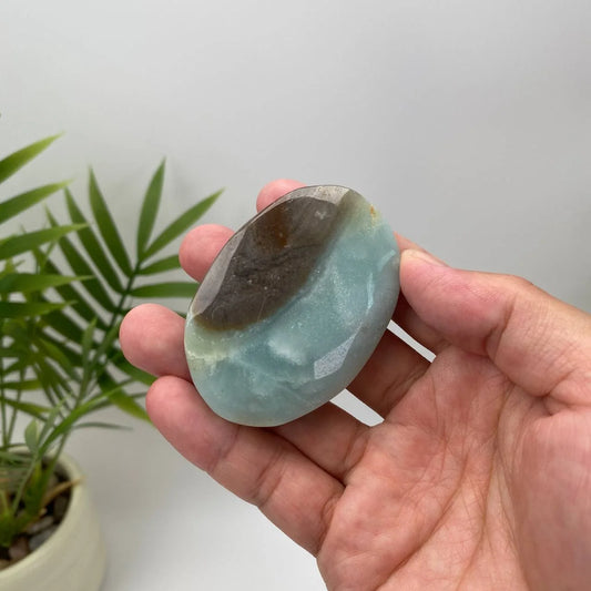 Natural Caribbean Calcite Palm Stone