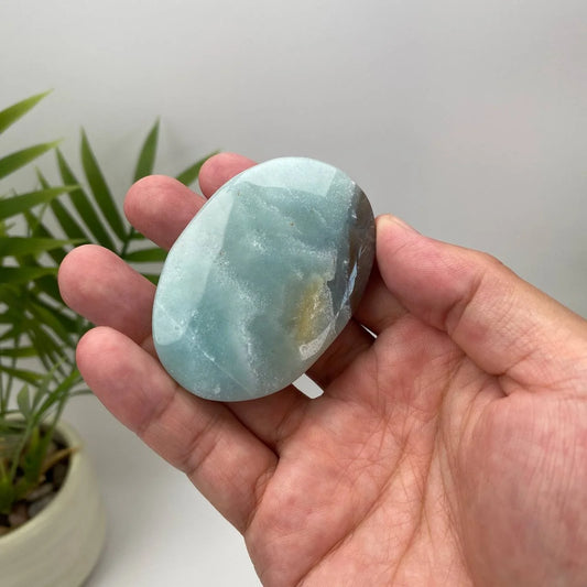 Natural Caribbean Calcite Palm Stone