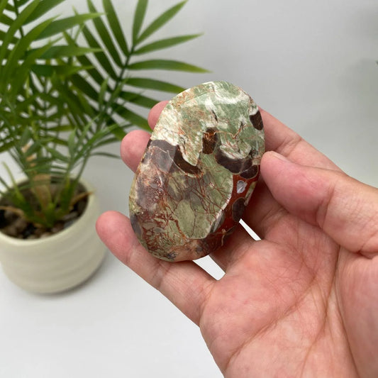 Natural Money Agate Palm Stone