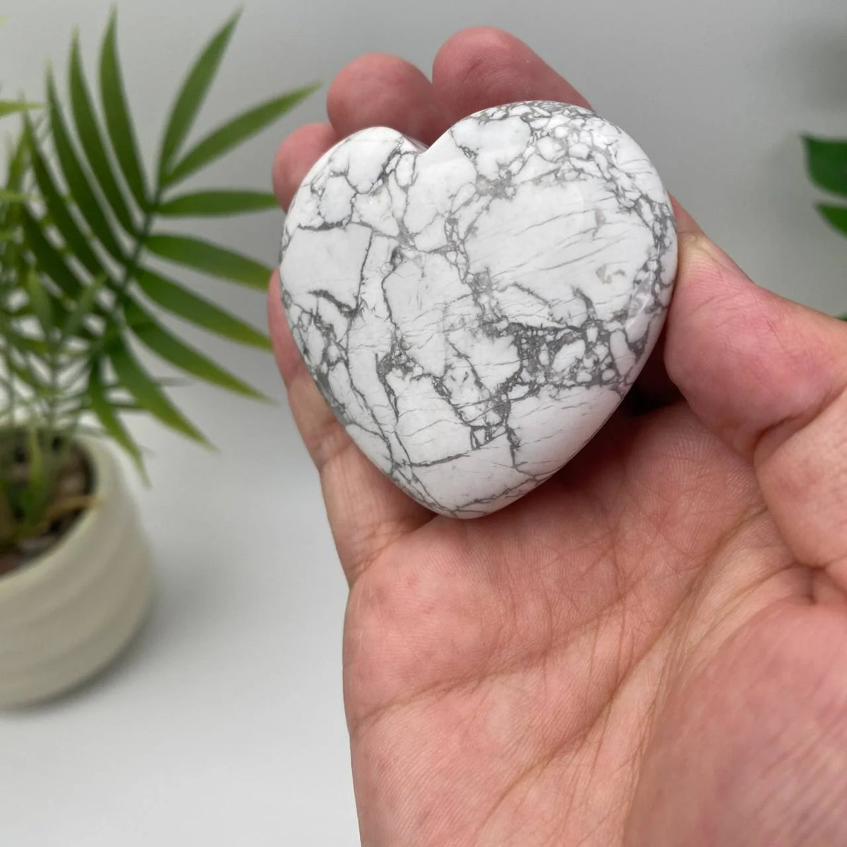 Natural Howlite Heart