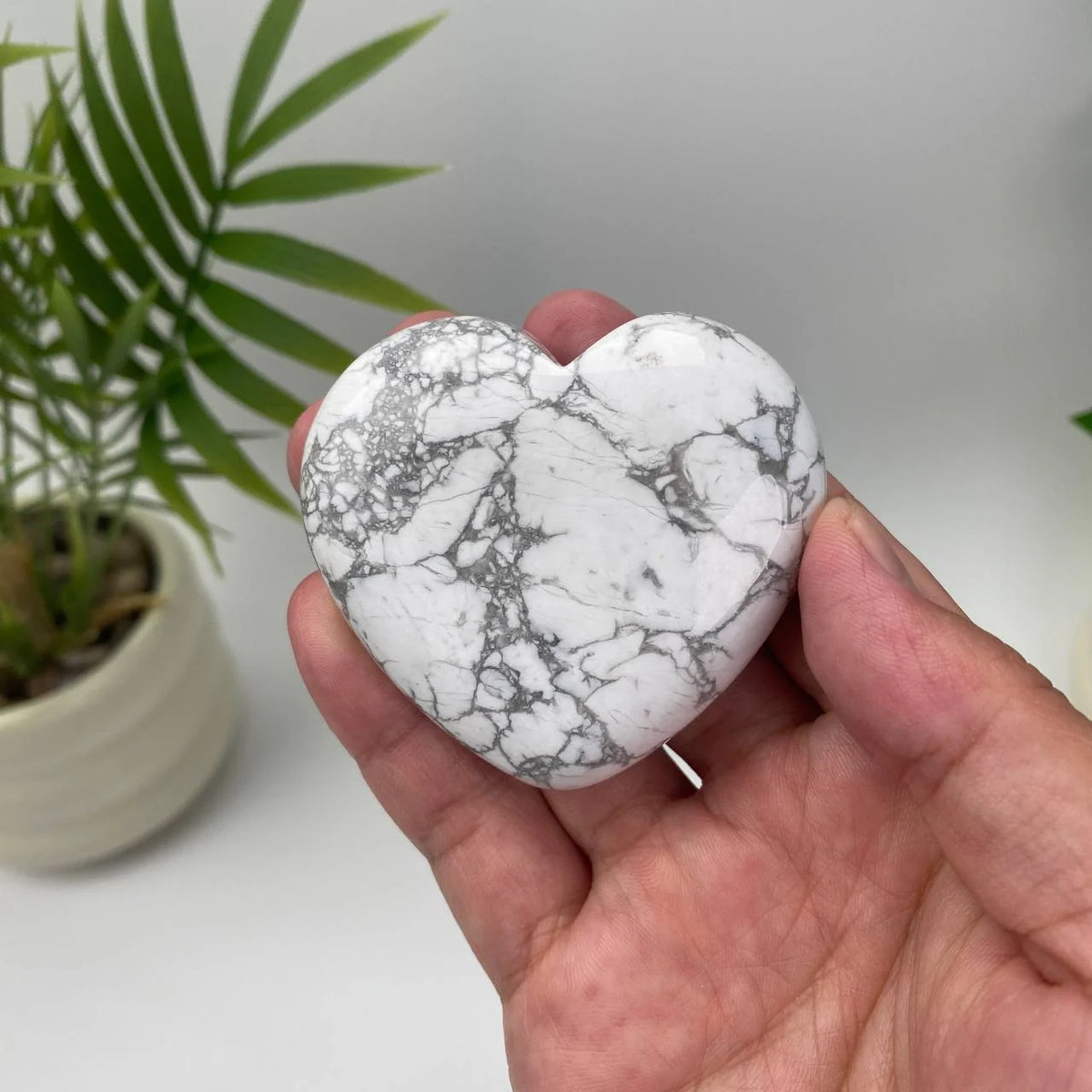Natural Howlite Heart