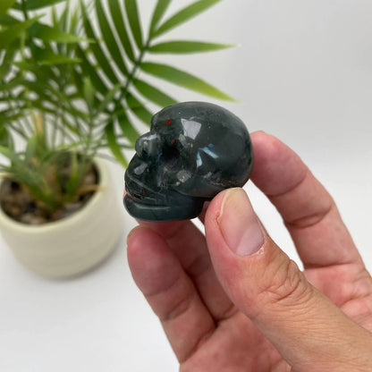 Natural African Bloodstone Skull Carving