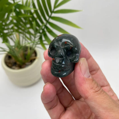Natural African Bloodstone Skull Carving