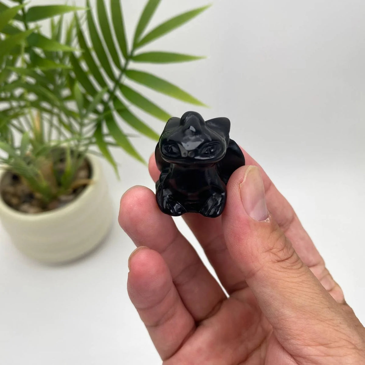 Natural Obsidian Black Dragon Carving