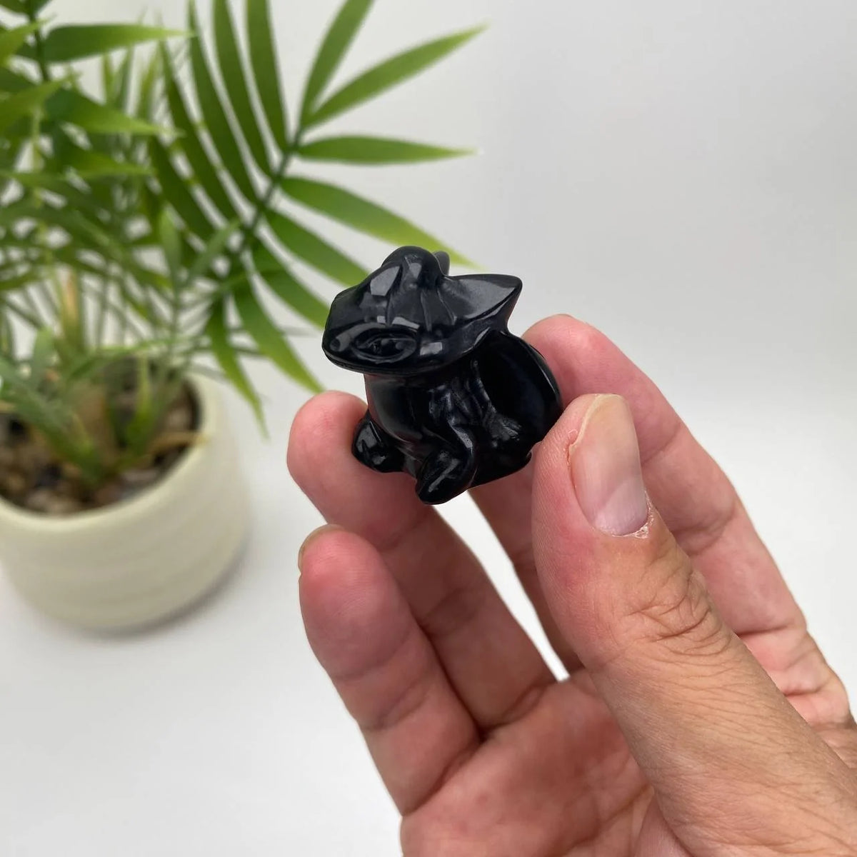 Natural Obsidian Black Dragon Carving