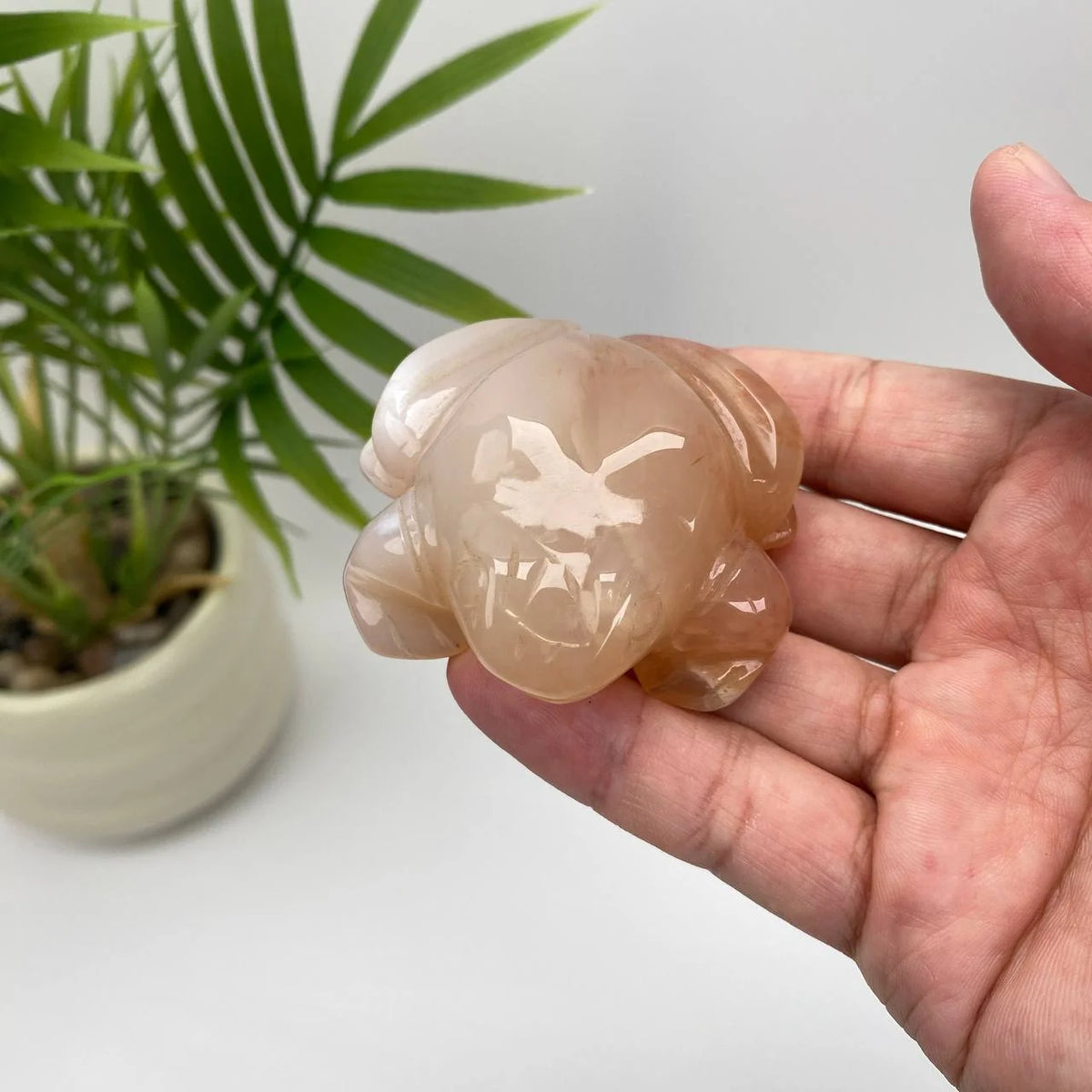 Natural Cherry Blossom Agate Frog Carving