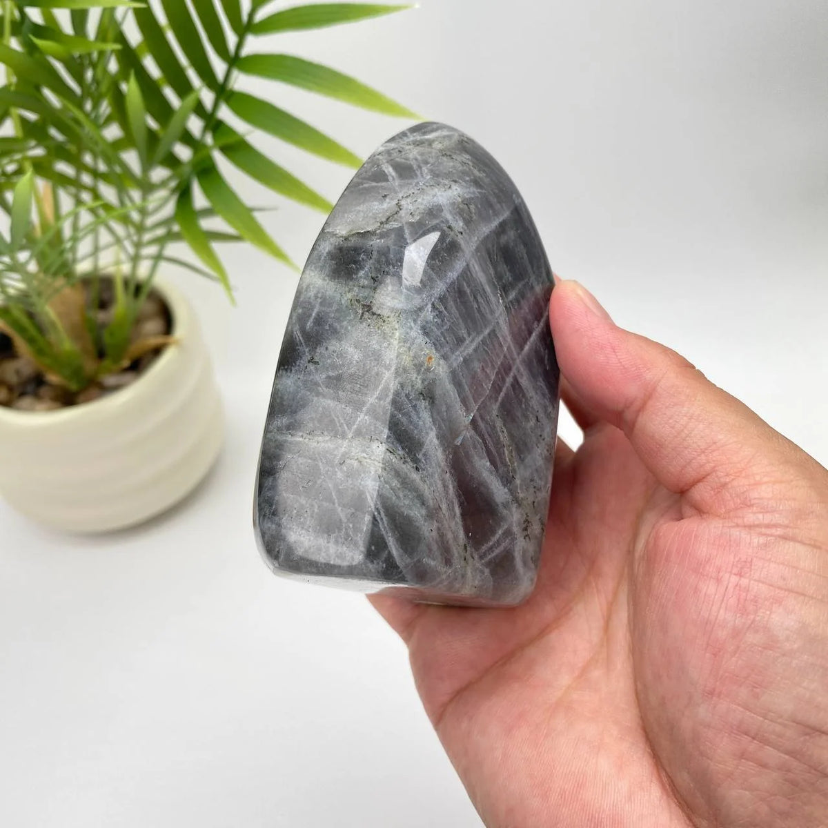 Natural Purple Labradorite Freeform