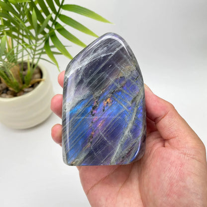 Natural Purple Labradorite Freeform