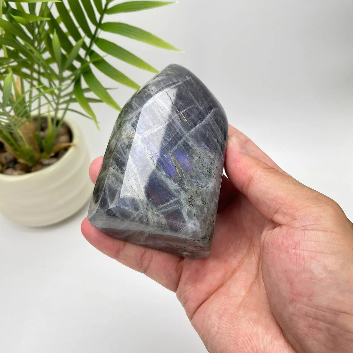 Natural Purple Labradorite Freeform