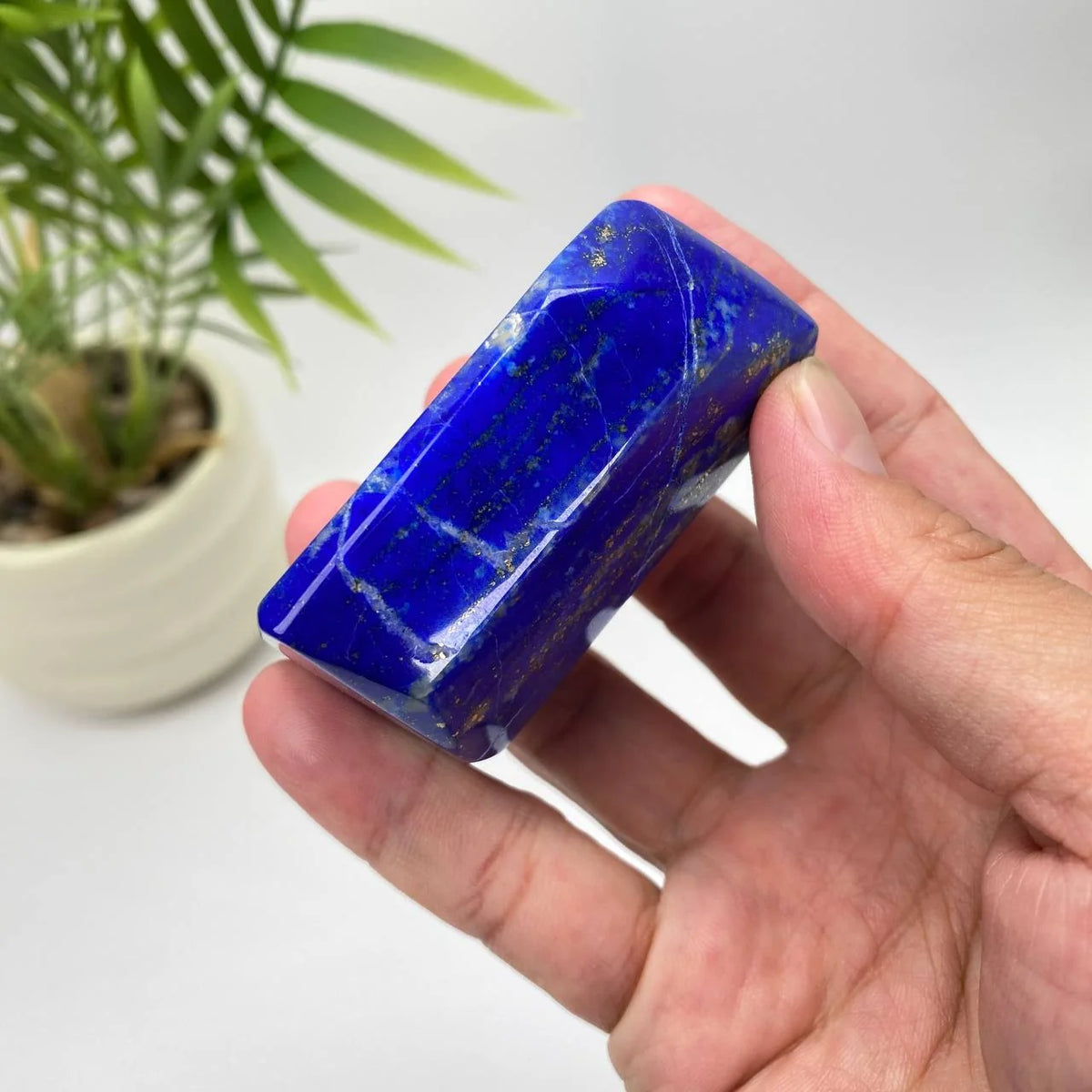 Natural Lapis Lazuli Freeform