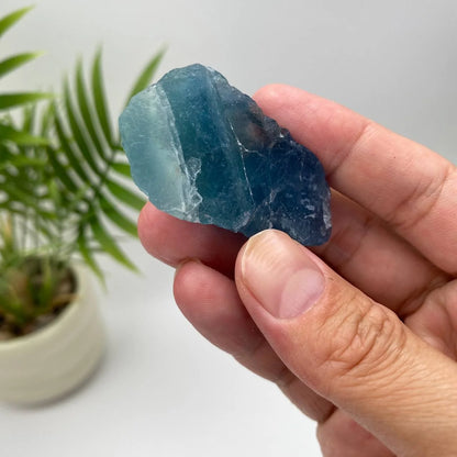 Natural Blue Fluorite Rough