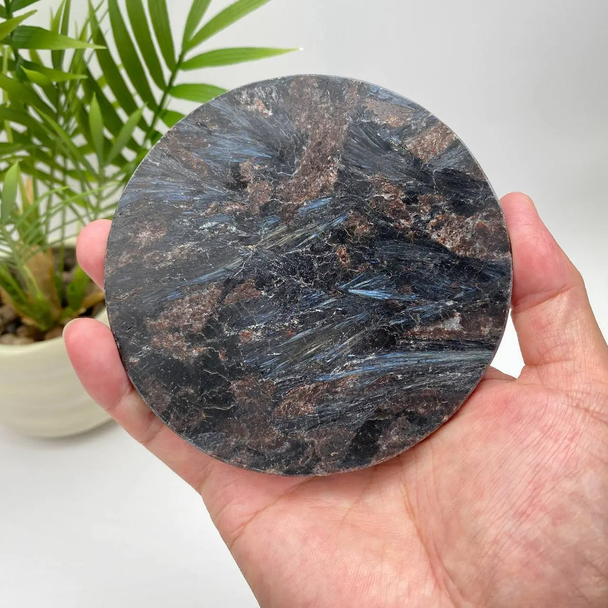 Natural Astrophyllite Crystal Plate