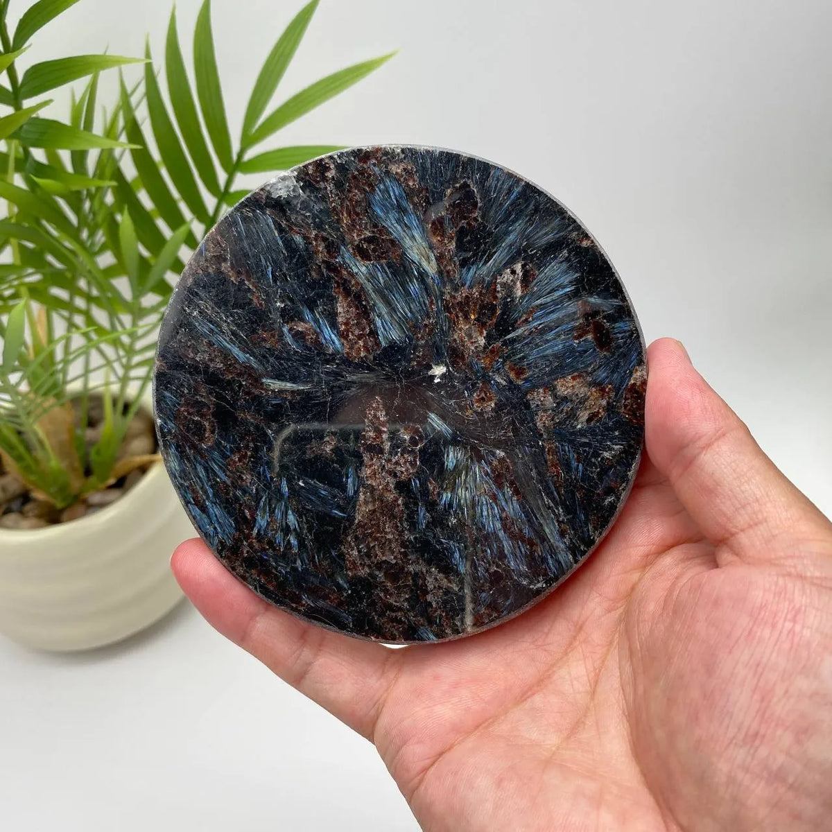 Natural Astrophyllite Crystal Plate