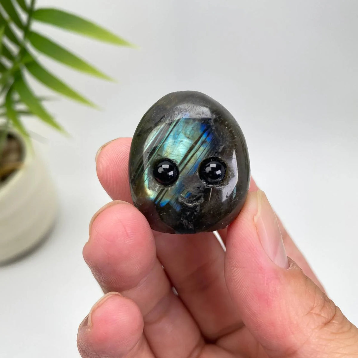 Natural Labradorite Pet rock Carving