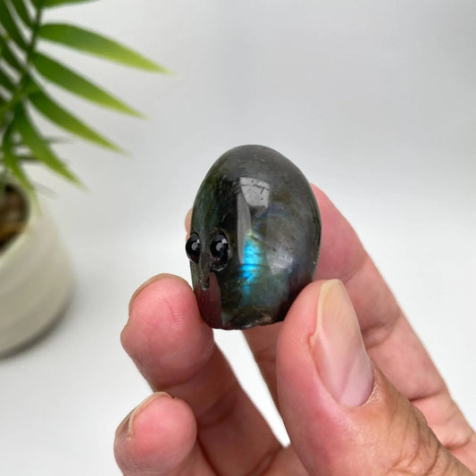Natural Labradorite Pet rock Carving