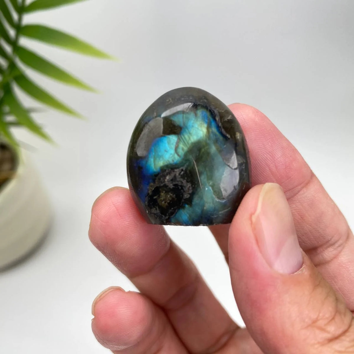Natural Labradorite Pet rock Carving