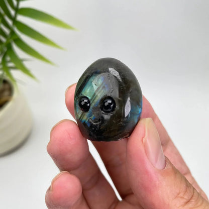 Natural Labradorite Pet rock Carving