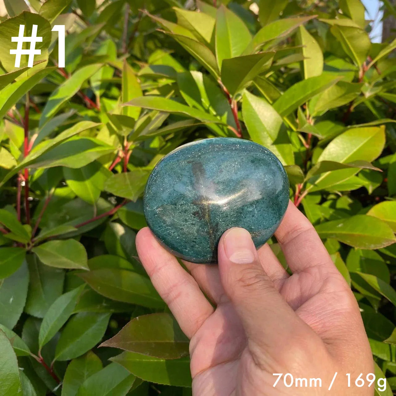 Natural Ocean Jasper Palm Stone