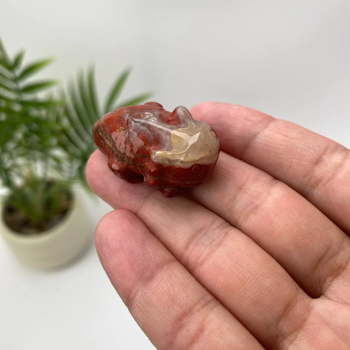 Natural Carved Crystal Salamander Figurine Set