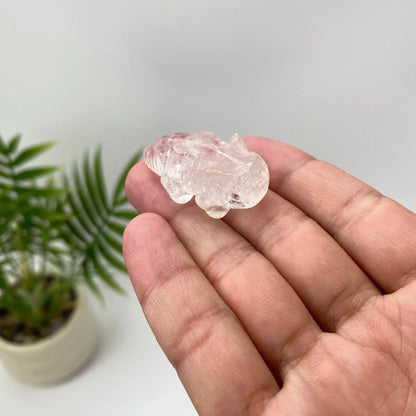 Natural Carved Crystal Salamander Figurine Set