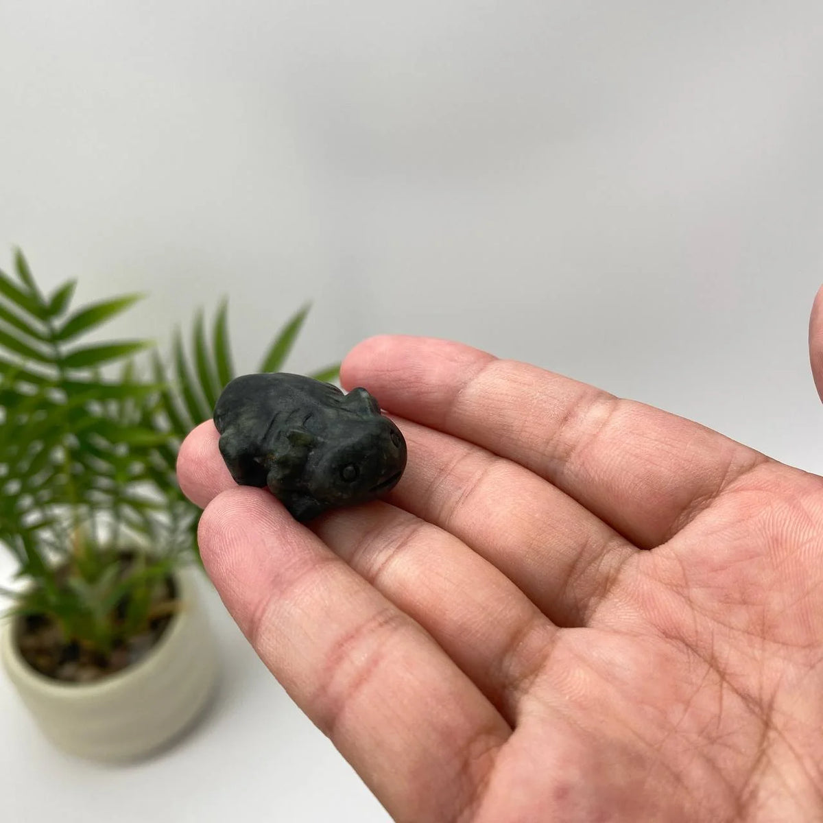 Natural Carved Crystal Salamander Figurine Set