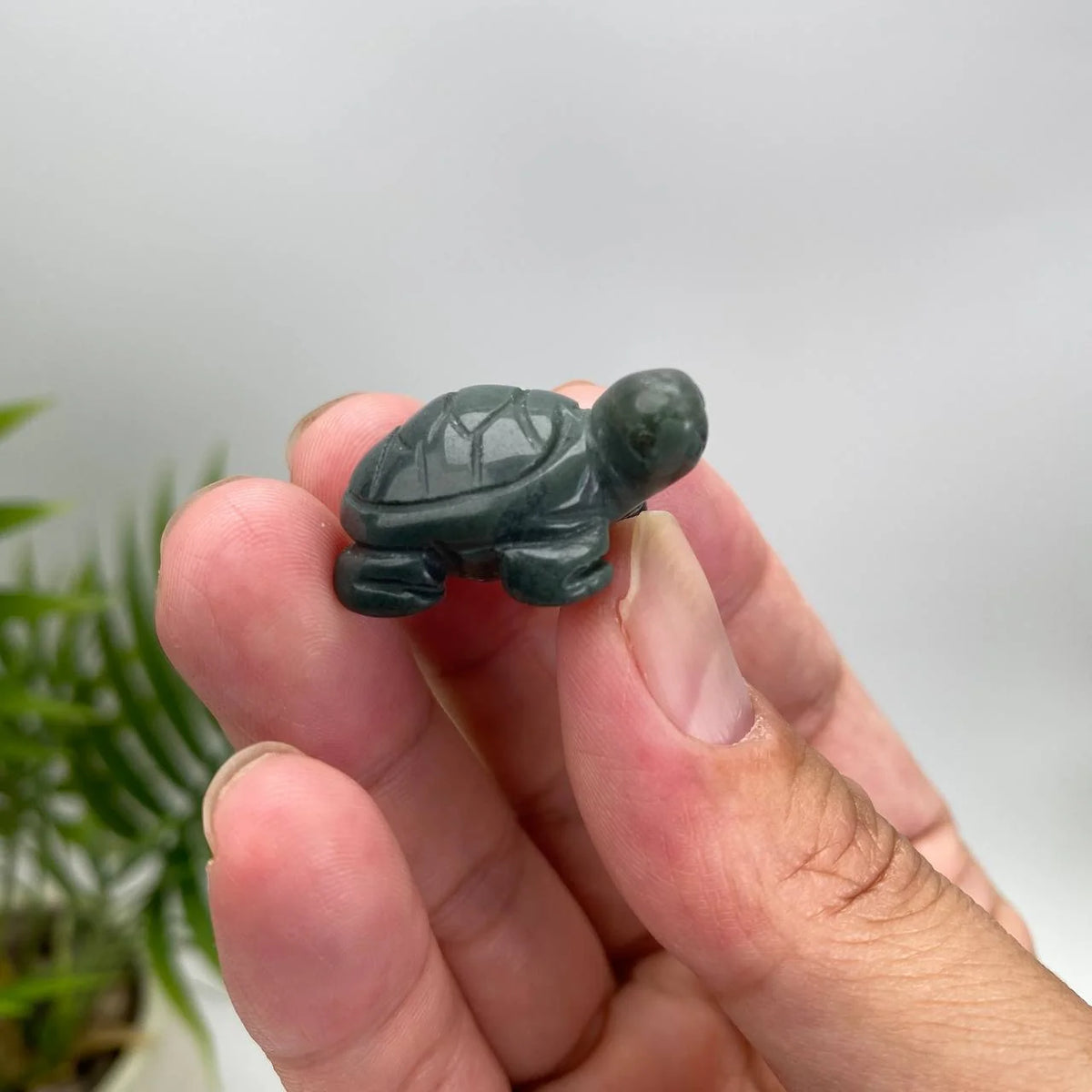 Natural Crystal Turtle Carving